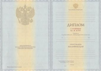 Диплом специалиста с 2011 по 2013 год 