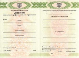 Диплом училища (ПТУ) с 2012 по 2023 годы